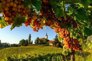 F013936-termalno_panonska_slovenija_pomurje_andrej_tarfila_6-photo-m