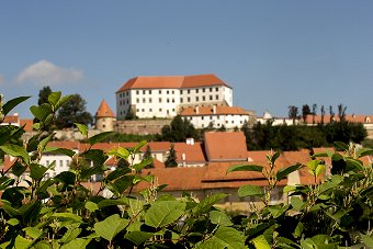 F008195-ptuj08alexstokelj_orig_jpg-photo-m.jpg